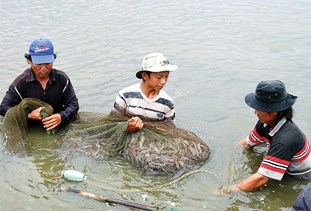 Bảo hiểm nông nghiệp nặng gánh rủi ro